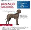 Coastal Pet Pro Waterproof Dog Harness 3/4" Lime