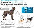 Coastal Pet Styles Adjustable Dog Collar Special Paw Brown