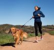Company of Animals Halti All In One Lead for Dogs Blue