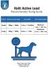 Company of Animals Halti All In One Lead for Dogs Purple