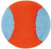 Chuckit Amphibious Fetch Ball